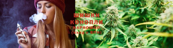 гашик Осташков