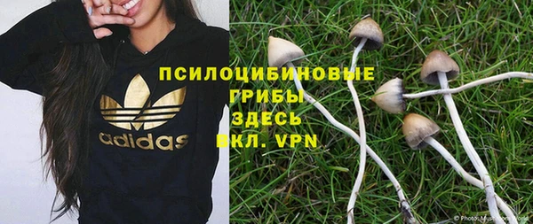 гашик Осташков