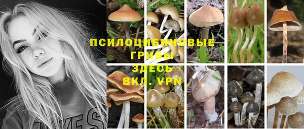 амфетамин Осинники