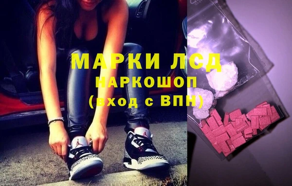 гашик Осташков