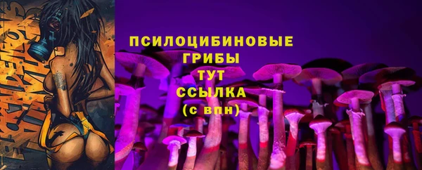 МДПВ Щучье