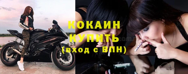 гашик Осташков