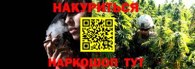 альфа пвп Аргун