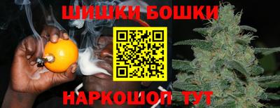 прущие грибы Абакан