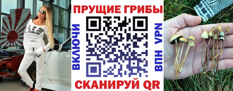 Галлюциногенные грибы MAGIC MUSHROOMS  цена   Барабинск 