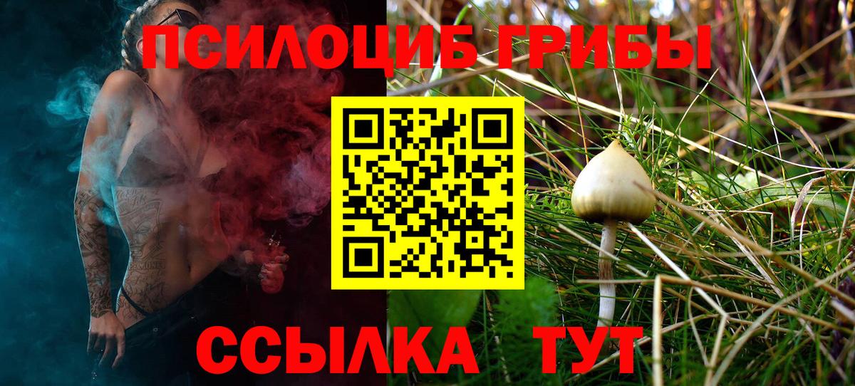 Галлюциногенные грибы Magic Shrooms  Псилоцибиновые грибы мицелий  Вход с VPN  Барабинск 