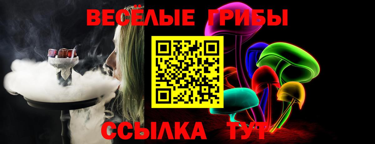 Псилоцибиновые грибы Psilocybe Барабинск